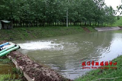 枝江：未雨绸缪蓄水抗旱 确保粮食生产安全