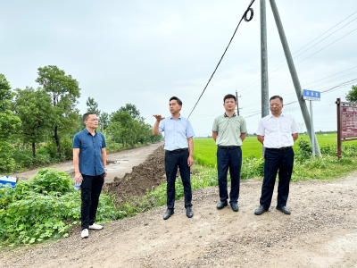 问安镇：发挥人大监督作用 推进民生项目建设