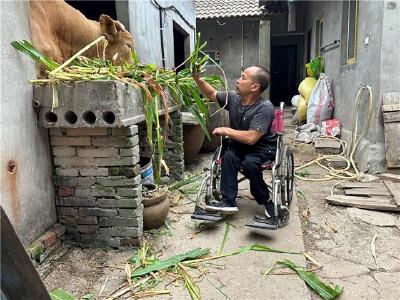 陈运茂：用一股牛劲成就自己的养牛梦