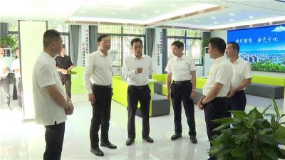 湖北省信访督查组来枝调研