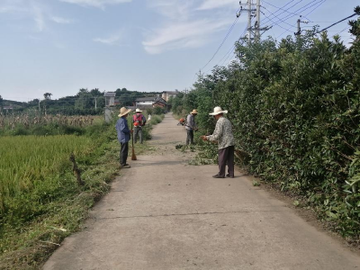 安福寺镇：开展路域环境专项整治 持续推进村庄清洁行动