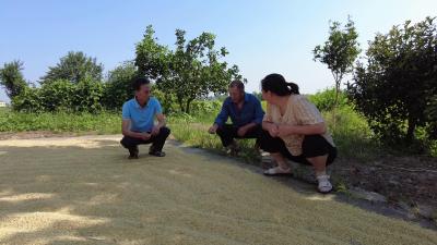 枝江：歇不住的“芝麻官”  揽尽湾落“悠悠事”