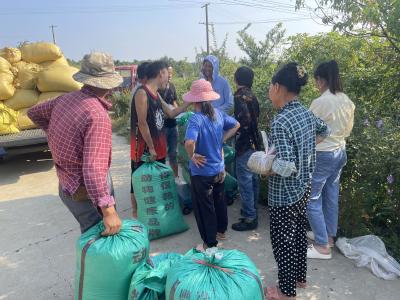 安福寺镇刘家冲村：遍插茱萸促振兴 交易火热共致富