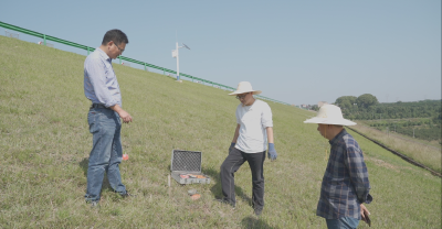 枝江：数字赋能水利工程“智”治白蚁