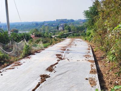 仙女镇：共享“连心路”架起干群“连心桥”