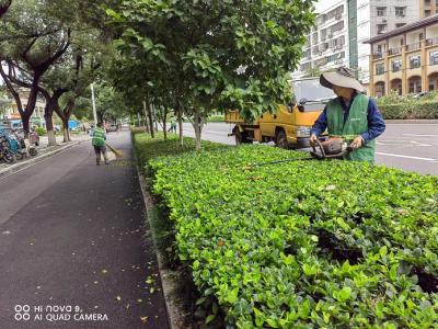 枝江园林：扎实开展秋季绿化提升行动