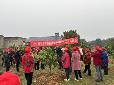 现场培训会对症指导  助脐橙种植户提质增效 