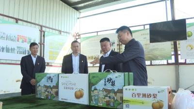 工行枝江支行：普惠金融14.5亿资金绘就乡村振兴“新图景”