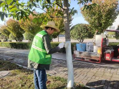 枝江园林：树干刷白“焕新颜” 防虫杀菌防冻害