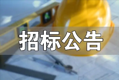 枝江市第二工人文化宫新建项目地形测绘、地质勘察、施工图设计及图纸审查采购项目竞争性磋商公告