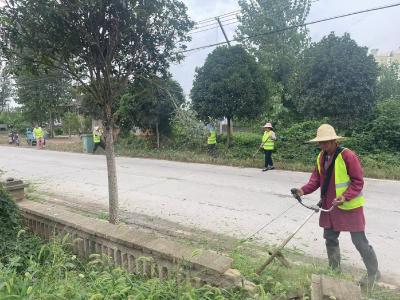 七星台镇：乡村环境大清扫 干净美丽迎元旦