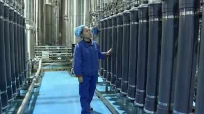 宇隆生物：悠悠茶香飘万里 产销两旺“开门红”