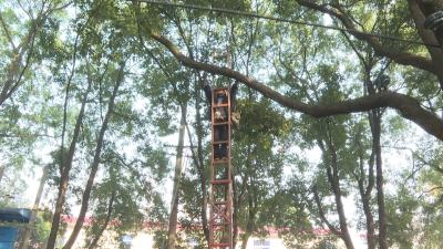 枝江：积极推进弱电下地改造工程 开启城区“美颜模式”