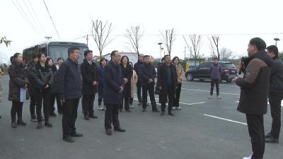 部分在宜全国、湖北省人大代表来枝江集中视察