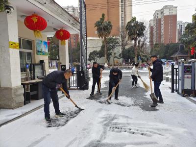 枝江市退役军人事务系统开展铲雪除冰活动