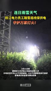 连日雨雪天气，枝江电力员工踏雪巡线保供电，守护万家灯火！