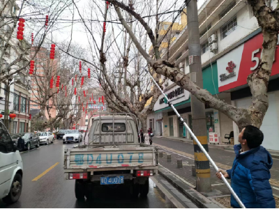 枝江园林全力应对新一轮雨雪冰冻天气