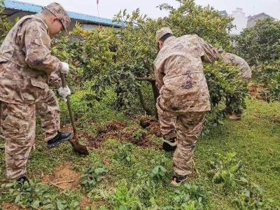 市人武部：雷锋精神助力乡村振兴