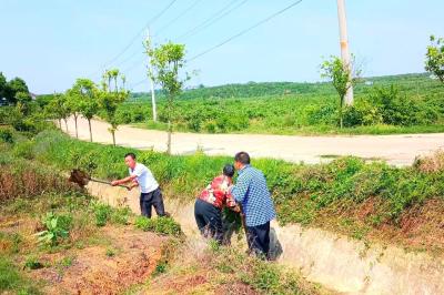 湖北枝江：董市镇大力开展沟渠清淤疏浚专项行动