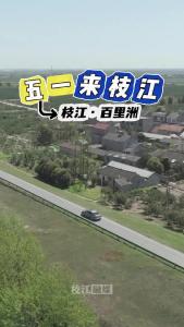 来枝江，五一放肆“野”，打卡江心岛百里洲！