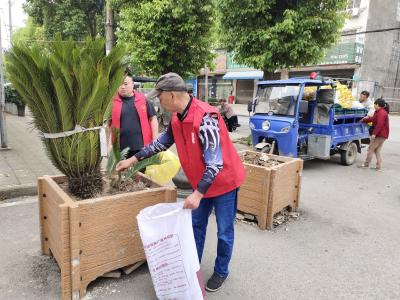 七星台社区组织开展“锄草种花、美化环境”志愿活动