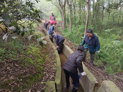 董市镇甘林寺村：清理沟渠淤泥 美化村容村貌