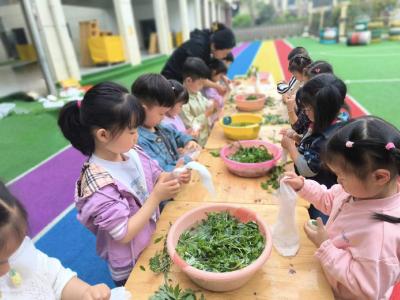 【我们的节日·清明】枝江市金湖幼儿园开展寻传统爱自然系列活动