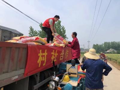 枝江供销服务下沉 农资集采集配到村 