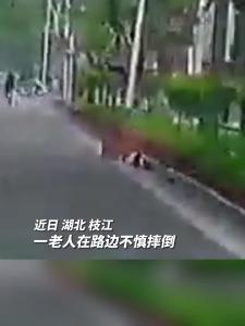 近日，老人在路边不慎摔倒，枝江出租车司机罗成主动上前搀扶