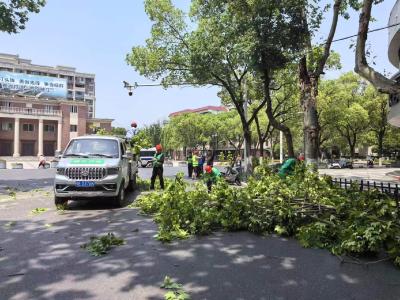 市住建局积极应对大风天气 保障市民出行安全