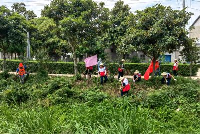 百里洲镇：清淤通渠 干群同心保畅通