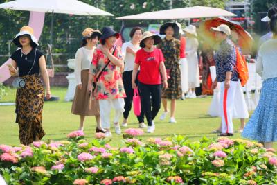 感恩母亲节，同心花海景区接待量超2000人次