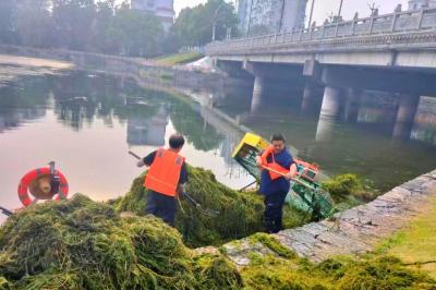 枝江住建：开展水草清理 持续提升公园水域环境 