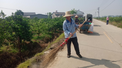 金龙村：党员带头 村民齐心 共建干净卫生家园 