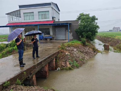 百里洲镇闻“汛”而动全力应对暴雨极端天气