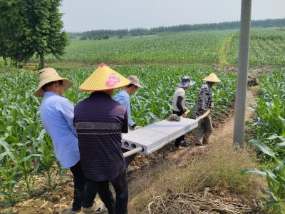 三王庙村：践行共同缔造，铺就幸福田间路 