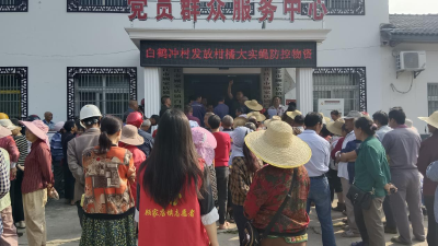 白鹤冲村：大实蝇联防联控 助力柑桔提质增效 
