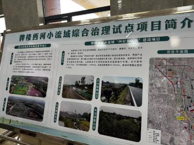 “当枝松宜东”中青年培训班学员走进东宝开展现场教学