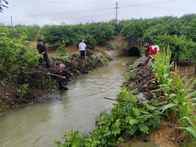 石岭村：清淤通渠筑牢防汛“安全堤” 