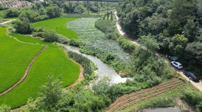 枝江市实现跨区域调水 保障居民用水需求