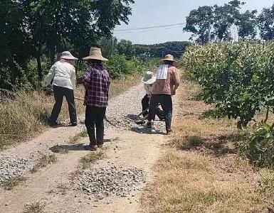 长岭岗村：自发来除草碎石 美好环境共缔造