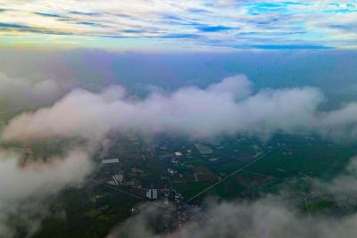 枝江：雨后云雾缭绕如梦似幻
