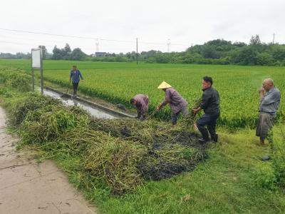 桃花垱村： 清沟畅渠 携手共护