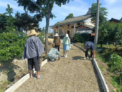 桑树河村：硬化入户路 拓宽幸福路