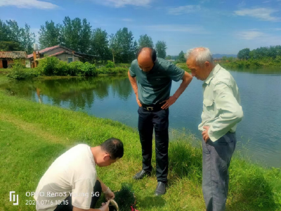 水产技术员深入塘头 助力养殖户应对高温天气疫病防控