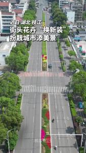 近日，湖北枝江，街头花卉“换新装”，扮靓城市添美景