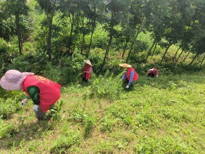 兴隆山村： 以“迅”应“汛” 共同守护美好家园 