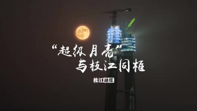 枝江长江大桥与“超级月亮”同框！