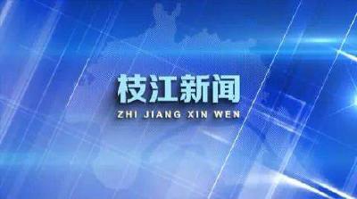 V视 |学习贯彻党的二十届三中全会精神枝江市委宣讲团百里洲镇报告会举行