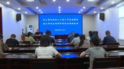 学习贯彻党的二十届三中全会精神枝江市委宣讲团市委政法委报告会举行